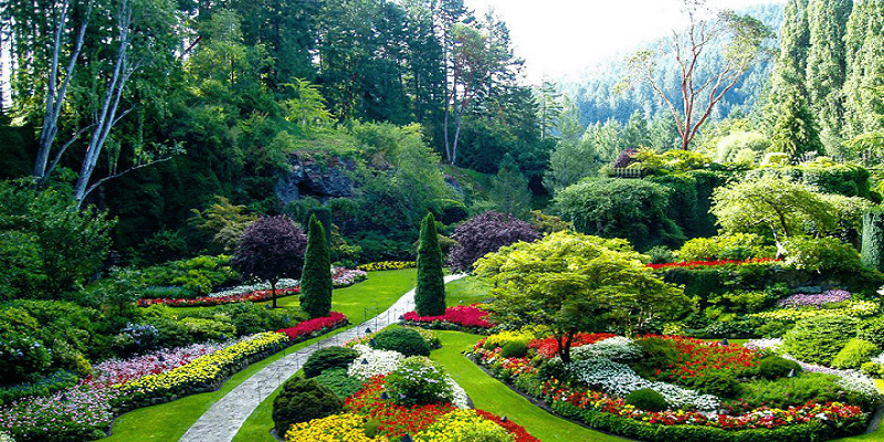 Batumi Botanical Park