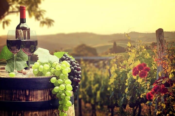 Wine degustation
