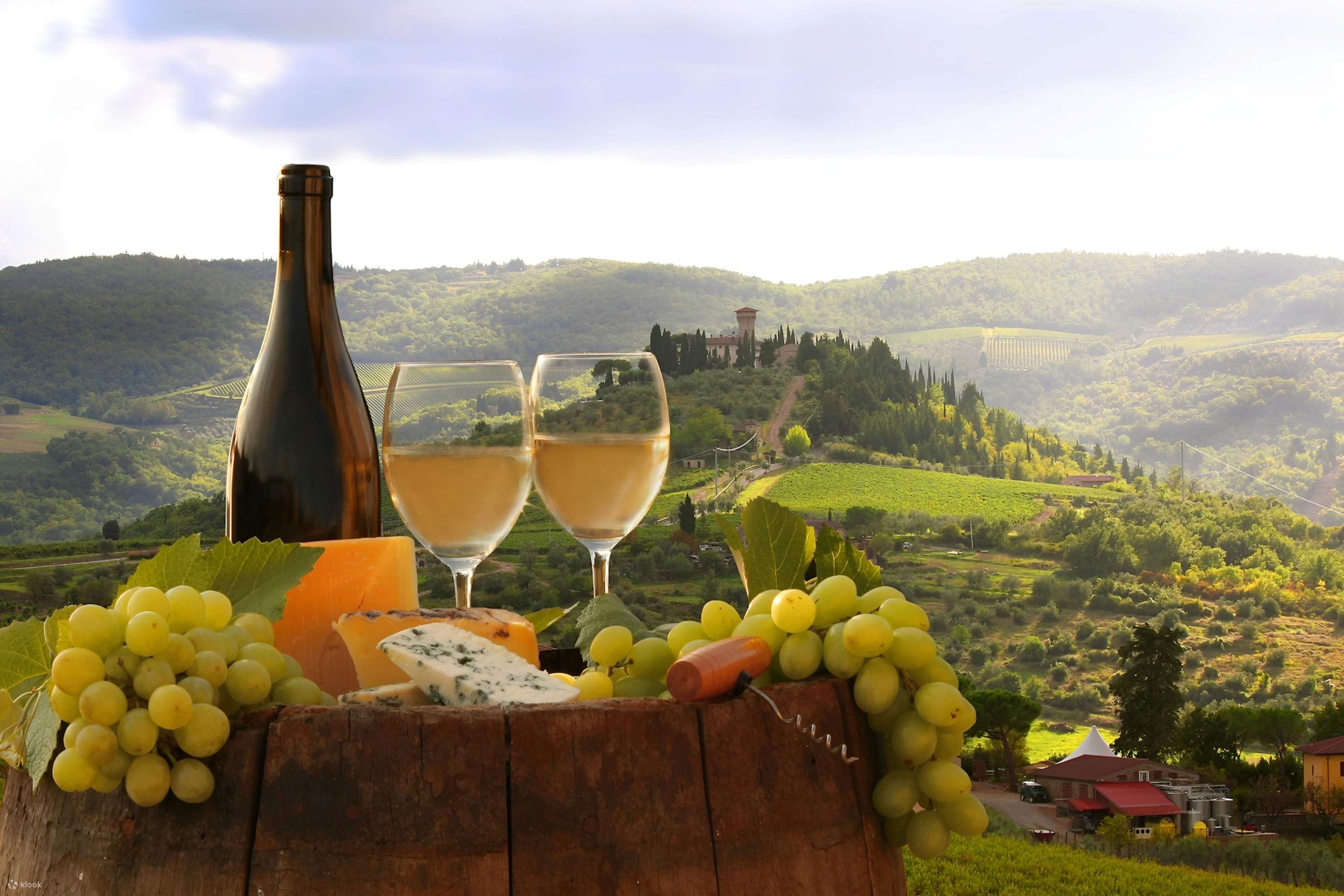 Wine Degustation